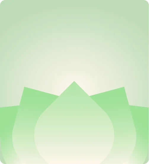 Brand Illustration Mobile